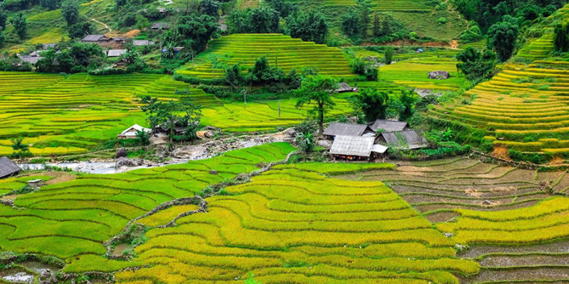16 topas-sapa