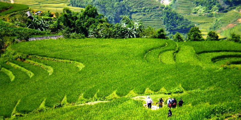 17 topas-sapa