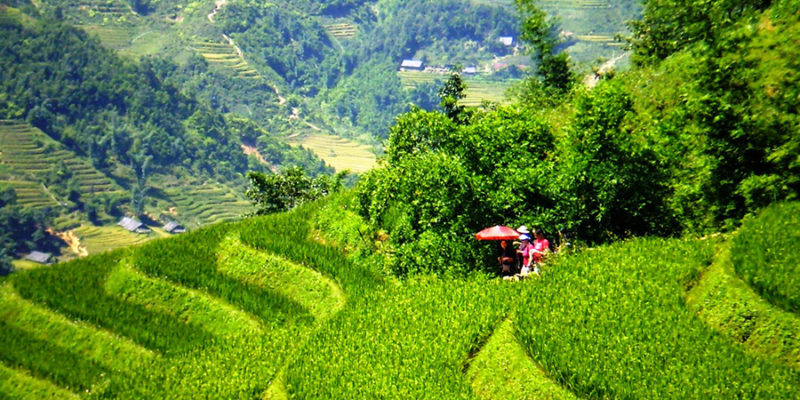 18 topas-sapa