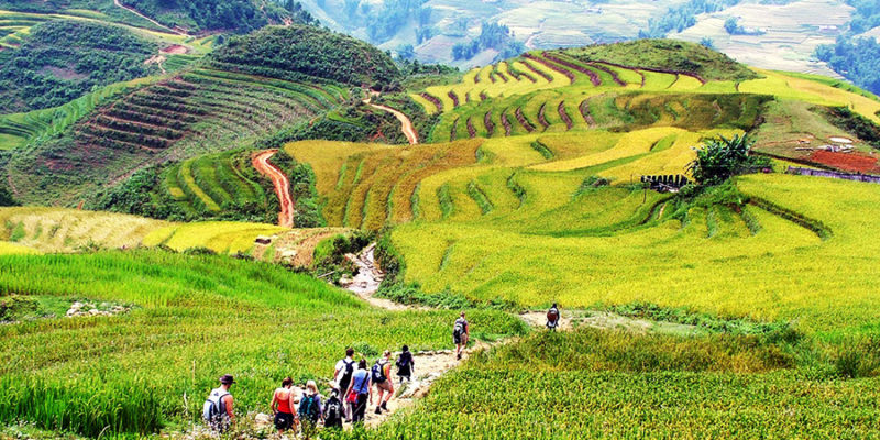 20 topas-sapa