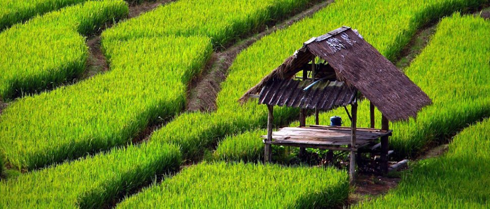 Biztosan induló őszi – téli – tavaszi körutazásunk: Vietnam kincsei
